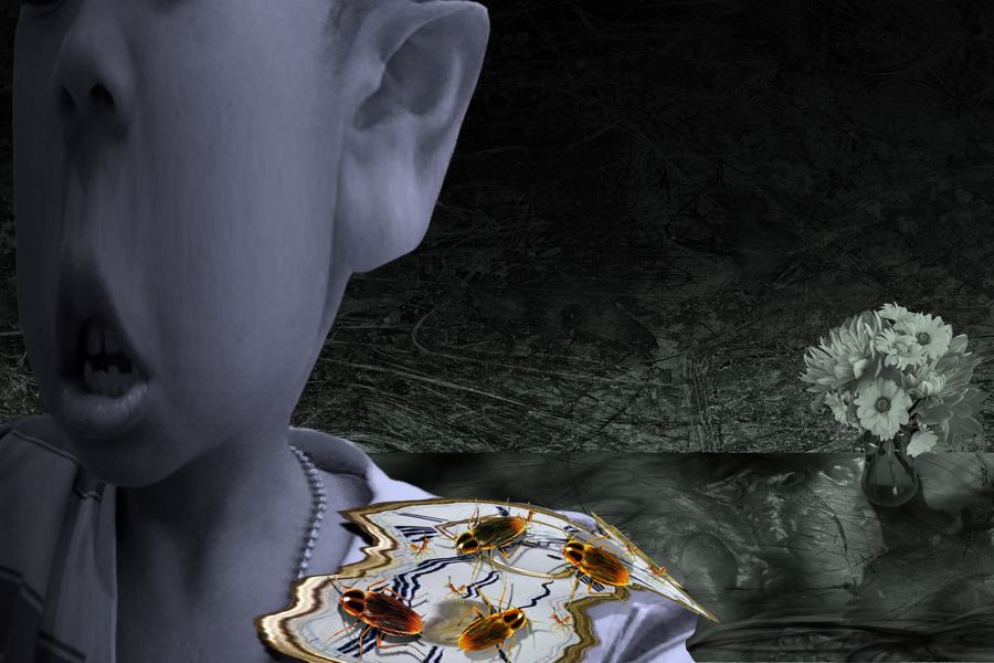 Miss You Too… Salvador Dalí