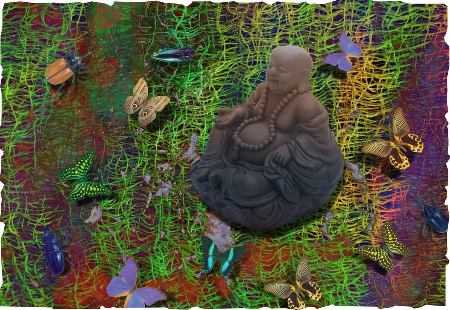 Dharma Is Nature