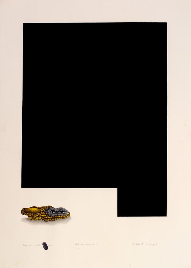 Her Object, Space and Gravity