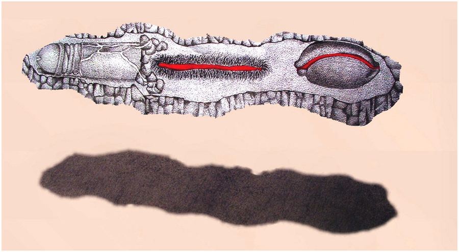 Object, Space and Gravity (detail)